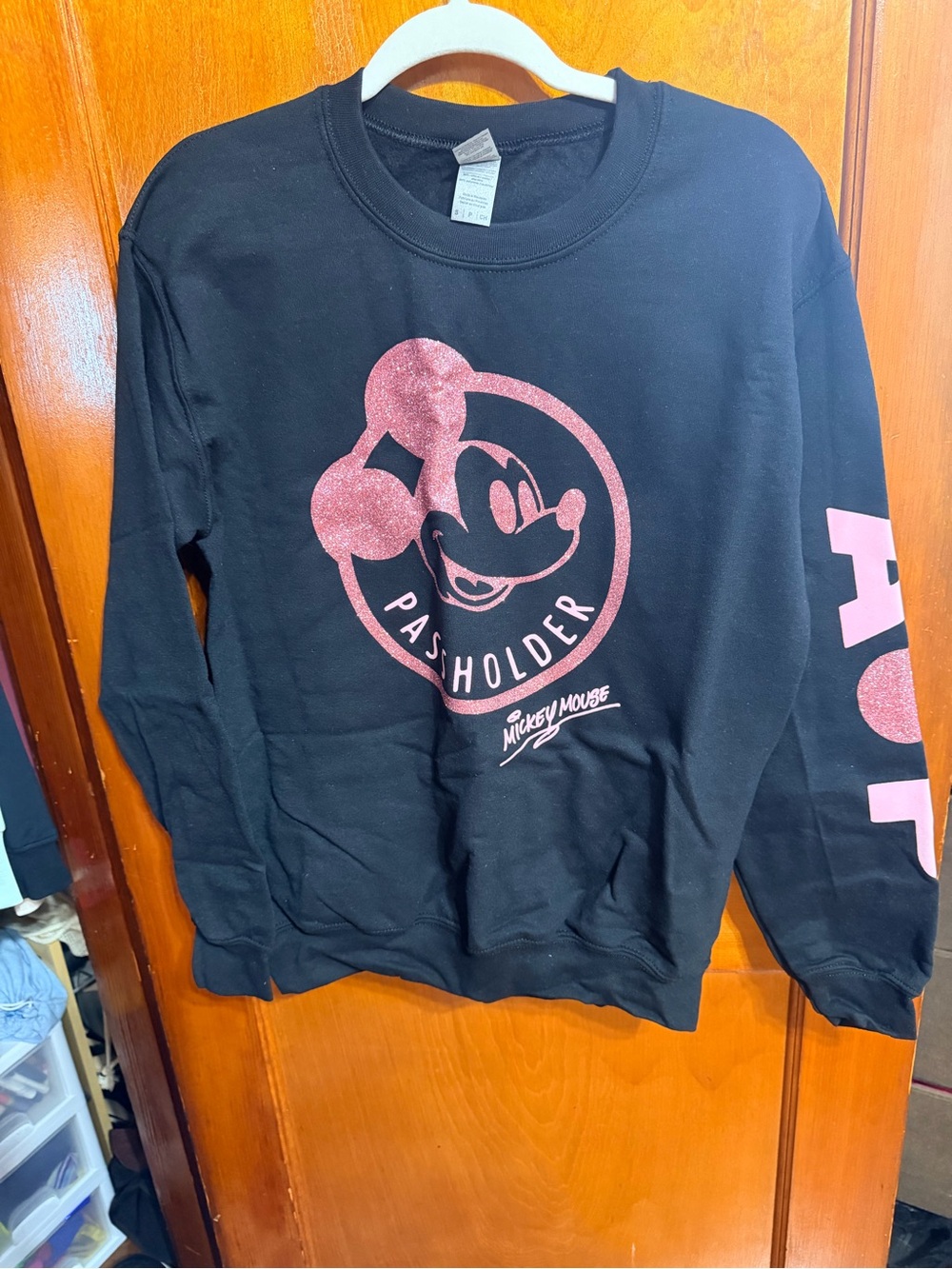 Disney Passholder Sweatshirt